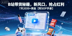 B站带货秘籍,新风口,抢占红利,7天2k+佣金【附SOP手册】-稀缺资源库