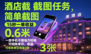 酒店截图任务,简单截图,15秒一单收益0.6米,一部手机不限地方时间,可矩阵单日收益3张【揭秘】-稀缺资源库