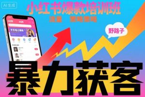 小红书爆款培训班，小红书获客野路子流量打法，暴力持续获客-稀缺资源库