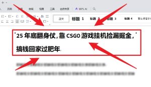 25年底翻身仗，靠CSGO游戏挂G捡漏掘金，搞钱回家过肥年【揭秘】-稀缺资源库