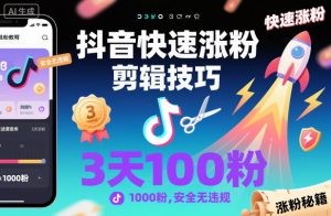 抖音快速涨粉剪辑技巧，3天1000粉，安全无违规-稀缺资源库