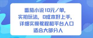 番茄小说10米每单，实拍玩法，0成本好上手，详细实操教程和平台入口适合大部分人-稀缺资源库