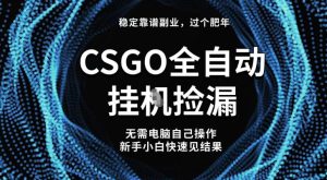 【稳定副业】全球最热门游戏CSGO全自动捡漏,最新玩法,新手小白日入5张+【揭秘】-稀缺资源库