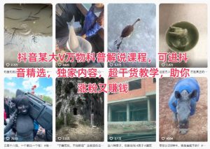 抖音某大V万物科普解说课程,可进抖音精选,独家内容,超干货教学,助你涨粉又賺钱-稀缺资源库