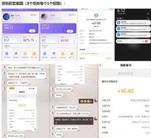 当天能收益的3个小项目拆解_包括平台+操作流程-稀缺资源库