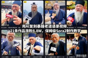 用AI复刻暴躁老道语录视频,21条作品涨粉8.8W,保姆级Sora2制作教学-稀缺资源库