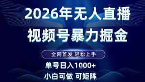 2026最新视频号无人直播掘金，全网首发，小白可以玩，长期稳定日入1k+【揭秘】-稀缺资源库