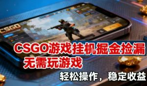 CSGO游戏挂G掘金捡漏，不需要玩游戏，操作简单，收益稳定【揭秘】-稀缺资源库