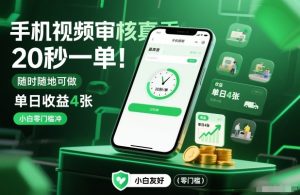 手机视频审核真香！20秒一单，随时随地可做，单日收益4张，小白零门槛冲【揭秘】-稀缺资源库