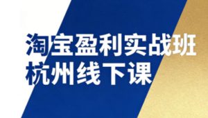 淘宝盈利实战班杭州线下课12月26-28日（音频+字幕），帮你掌握SOP流程+12门核心技术-稀缺资源库