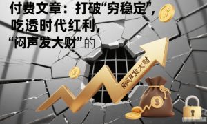 付费文章:打破“穷稳定”,吃透时代红利,“闷声发大财”的终极真谛-稀缺资源库