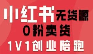 小红书无货源0粉电商课，开店准备、选品策略、笔记撰写、视频剪辑、数据分析、账号打造、资料文档（更新）-稀缺资源库