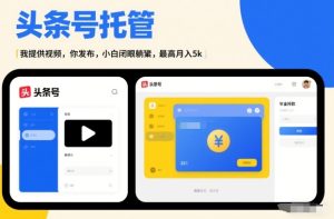 头条号AI托管，我提供视频，你发布，小白闭眼躺賺，最高月入5k+【揭秘】-稀缺资源库