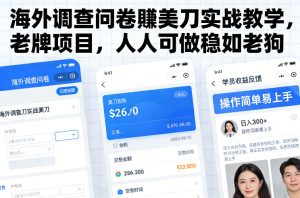 海外调查问卷賺美刀实战教学，老牌项目，人人可做稳如老狗-稀缺资源库