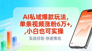 AI私域爆款玩法，单条视频涨粉6W+，小白也可实操-稀缺资源库