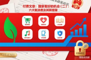 付费文章:国家看好的机会(二):六大新消费及其新增量-稀缺资源库