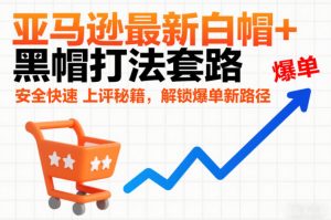 亚马逊最新白帽+黑帽打法套路,安全快速上评秘籍,解锁爆单新路径-稀缺资源库