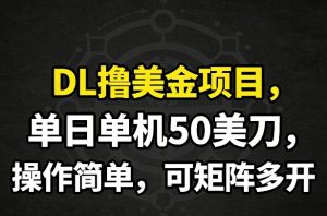 DL撸美金项目，单日单机50美刀，操作简单，可矩阵多开-稀缺资源库