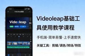 Videoleap基础工具使用教学课程,手机端视频剪辑教学,简单易懂,上手速度快-稀缺资源库