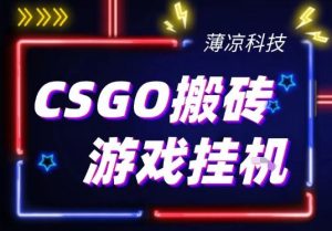 CSGO游戏挂G游戏搬砖最新升级，普通小白一部手机可日入3张+当天见结果，支持验证【揭秘】-稀缺资源库
