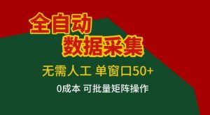 全自动数据采集项目，无需人工，单窗口可达50+收益，操作简单无难度，一个人也能轻松实现矩阵【揭秘】-稀缺资源库