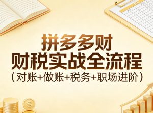 拼多多财税实战全流程（对账+做账+税务+职场进阶）-稀缺资源库