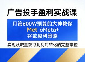 广告投手盈利实战课，月管600W预算的大神教你Meta+谷歌盈利策略，实现从流量获取到利润转化的完整掌控-稀缺资源库