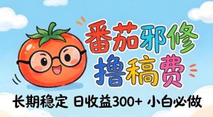 番茄撸金术:日入300+稳如泰山!独家玩法曝光,操作门槛极低,无需经验,小白闭眼上车【揭秘】-稀缺资源库