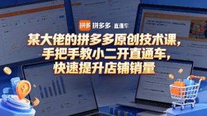 某大佬的拼多多原创技术课，手把手教小二开直通车，快速提升店铺销量-稀缺资源库