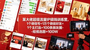 某大佬超级流量IP搞钱训练营，1个微信号+1万个微信好友+1个主打品+100条朋友圈-短视选题=100W-稀缺资源库