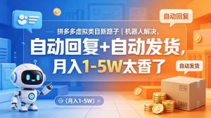 拼多多虚拟类目新路子｜机器人解决，自动回复+自动发货，月入1-5W太香了【揭秘】-稀缺资源库