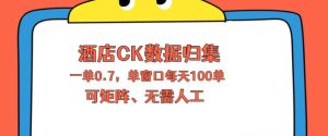 上班也能玩的酒店CK数据归集，一单0.7单窗口每天可做100单，一个人就能矩阵操作【揭秘】-稀缺资源库