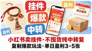 小红书卖挂件，不囤货纯中转复制爆款玩法，单日盈利3-5张-稀缺资源库