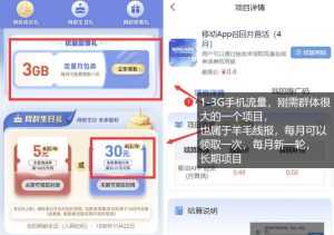 手机流量领取推广_每月一轮，刚需类的长期项目-稀缺资源库