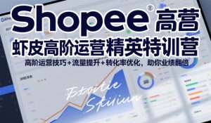 Shopee虾皮高阶运营精英特训营,高阶运营技巧+流量提升+转化率优化,助你业绩翻倍(更新26年5月)-稀缺资源库