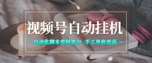 视频号自动挂G项目,自动化脚本省时省力,手工单价更高,日入300+全网最稳【揭秘】-稀缺资源库