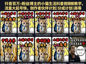 抖音百万粉丝博主的小猫生活科普视频教学,流量大起号快,创作者伙伴计划|分成计划|商单|收徒等-稀缺资源库