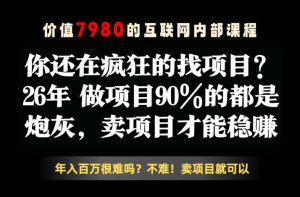 26年请不要疯狂的找项目了,卖项目远比你想象的暴利,你也可以月入10W+【揭秘】-稀缺资源库