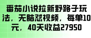 番茄小说拉新野路子玩法,无脑怼视频,玩法简单、见效快,每单10米,40天收益27950-稀缺资源库