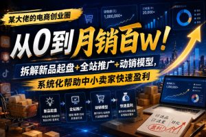 某大佬的电商创业圈从0到月销百W!拆解新品起盘+全站推广+动销模型,系统化帮助中小卖家快速盈利-稀缺资源库