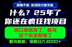 26年,请不要疯狂的找项目做了!卖项目才是真的稳賺不赔,看完照做,保底日入1k+【揭秘】-稀缺资源库