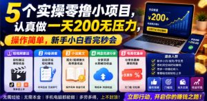 5个实操零撸小项目,认真做一天200无压力,操作简单,新手小白看完秒会【揭秘】-稀缺资源库