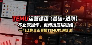 TEMU运营课程（基础+进阶），不止教操作，更传授底层思维，一门让你真正看懂TEMU的进阶课-稀缺资源库