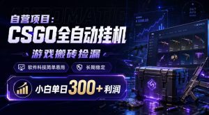 自营项目：CSGO全自动挂G，游戏搬砖捡漏，软件科技简单易用，长期稳定，小白单日300+利润【揭秘】-稀缺资源库