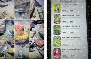 Tiktok中视频解说教程,体育+温情文案双赛道实操教程一站式带你落地,教你出海賺美刀-稀缺资源库