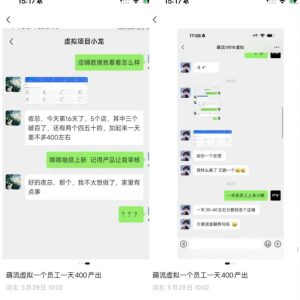 薅流虚拟2.0陪跑课，0成本AI流程化操作，淘宝+闲鱼同步玩法，上一次货两个平台有收益，单店每天200纯利润-稀缺资源库