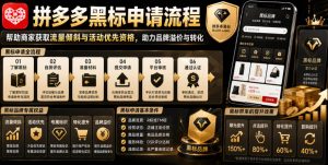 拼多多黑标申请流程,帮助商家获取流量倾斜与活动优先资格,助力品牌溢价与转化-稀缺资源库
