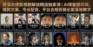 资深大佬影视剧解说精选独家课|AI增量提示词、爆款文案、专业配音、平台合规剪辑全套落地教学-稀缺资源库