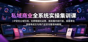 私域商业全系统实操课|IP定位公域引流、社群精细化运营、朋友圈内容打造、高客单成交与用户裂变完整落地教程-稀缺资源库