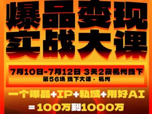 爆品变现实战大课,从爆品,到流量,到成交,一个爆品+IP+私域+用好AI=100W到1000W(7月10-12日)-稀缺资源库